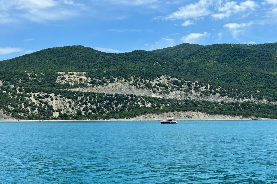 Вид на леса Анапы