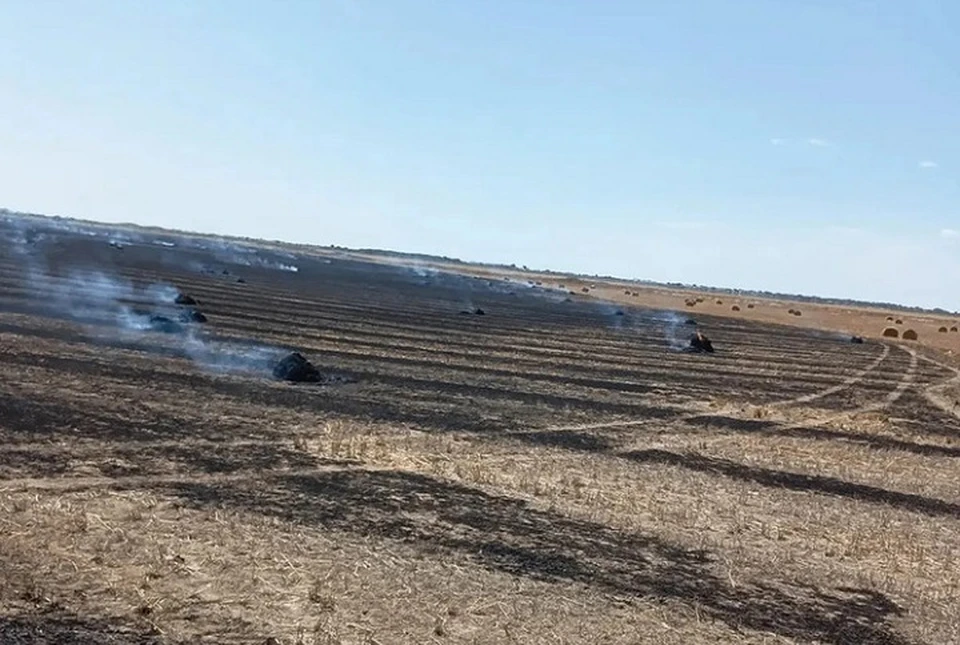 За сутки пожарные около 30 раз выезжали на тушение сухой растительности. Фото: ПАСс СК