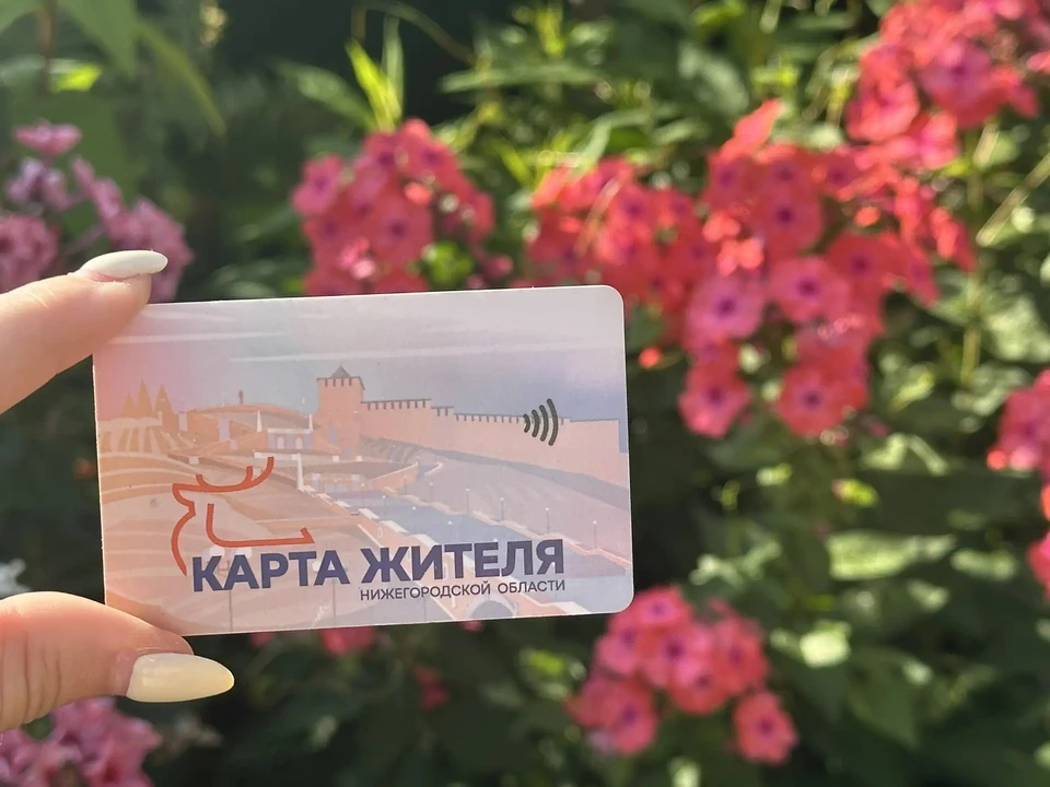 Более 350 тысяч граждан пользуются «Карту жителя Нижегородской области» Фото: Минцифры Нижегородской области