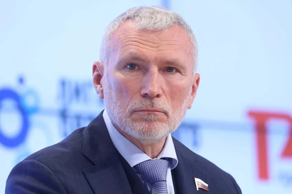 Депутат Журавлёв: партия Яблоко пытается дискредитировать выборы в России, фото: Сергей Петров/news.ru/ТАСС