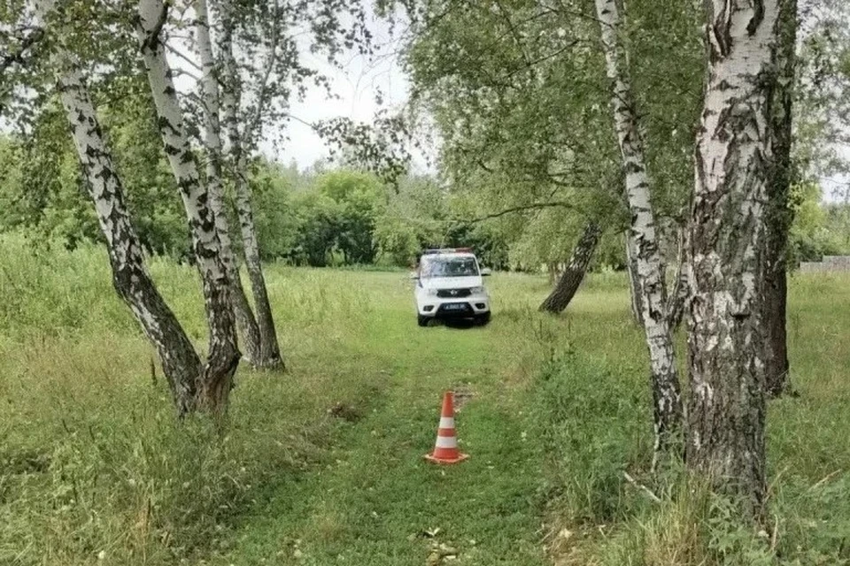 Ребенка госпитализировали. Фото: УМВД России по Омской области