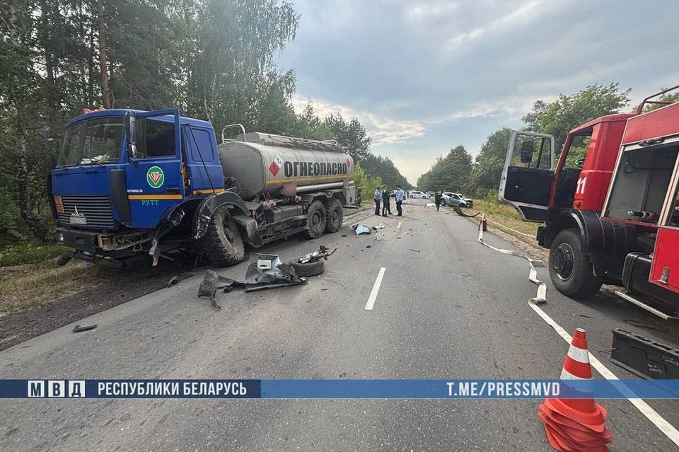 В ДТП под Светлогорском погибли четыре человека. Фото: МВД.