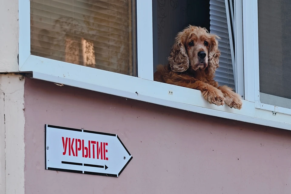 В Ульяновской области больше полутора часов длился режим ракетной опасности