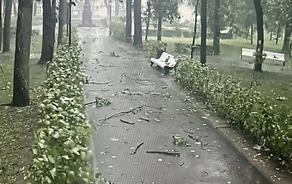 Два человека погибли в Смоленске во время урагана. Фото: Александр Новиков