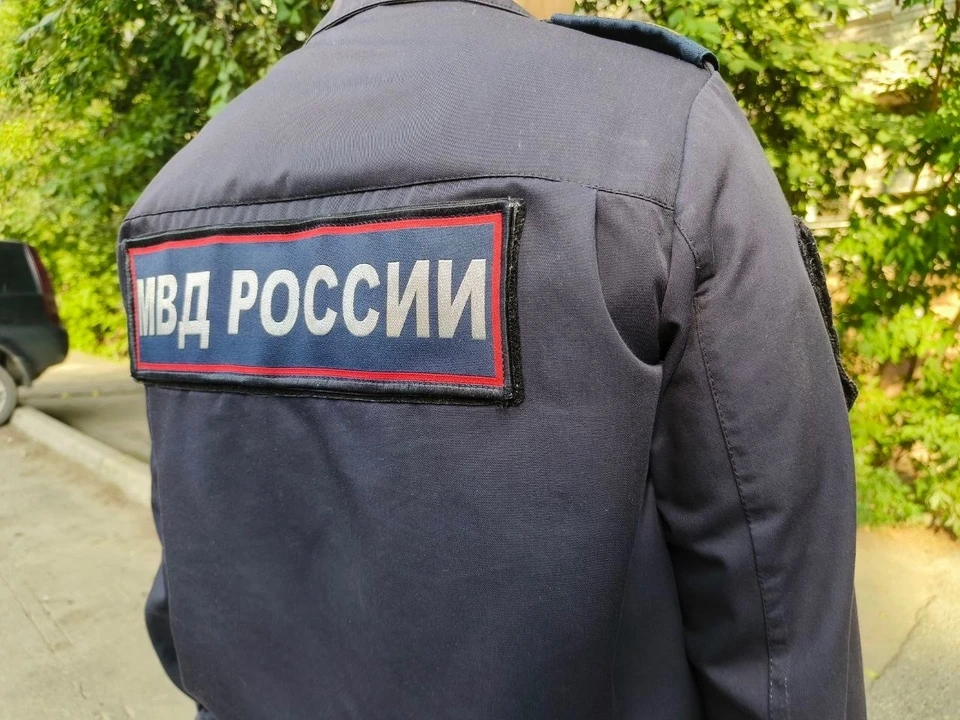 Фото: Кирилл Старков