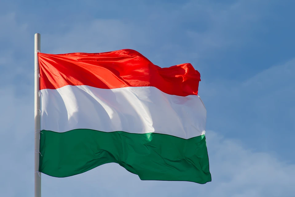 В Венгрии из-за обмеления Дуная обнаружились останки солдат вермахта. Фото: Ilya Galakhov/Global Look Press