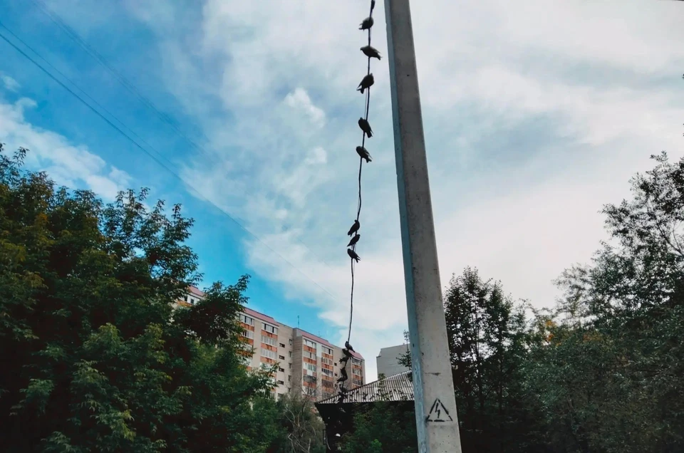 В понедельник ожидается облачная погода с прояснениями