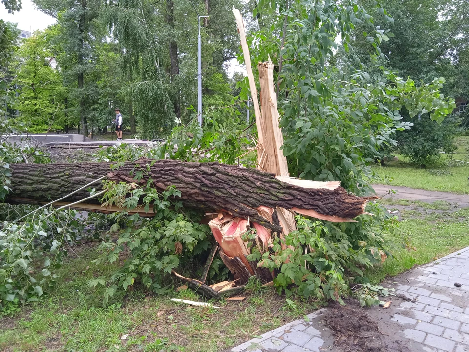В Ульяновске за выходные выпало больше месячной нормы осадков