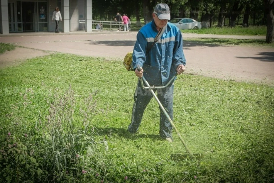 Фото: пресс-служба Брянской городской администрации.