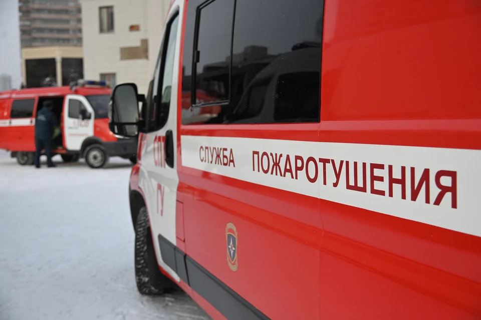 Фото: Ольга ЮШКОВА