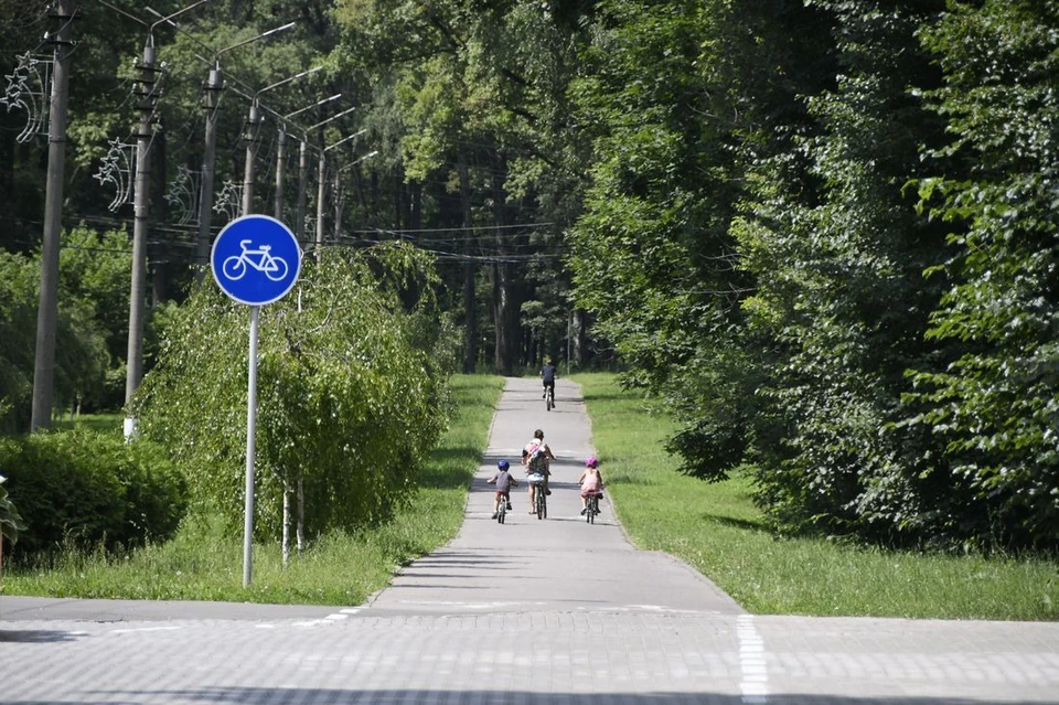 Холода отступают: в выходные туляков ждет потепление до +25°C.