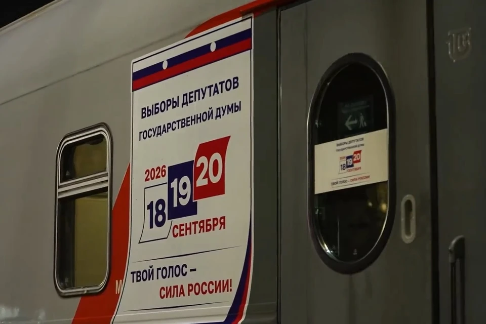 Фото: ЦИК России