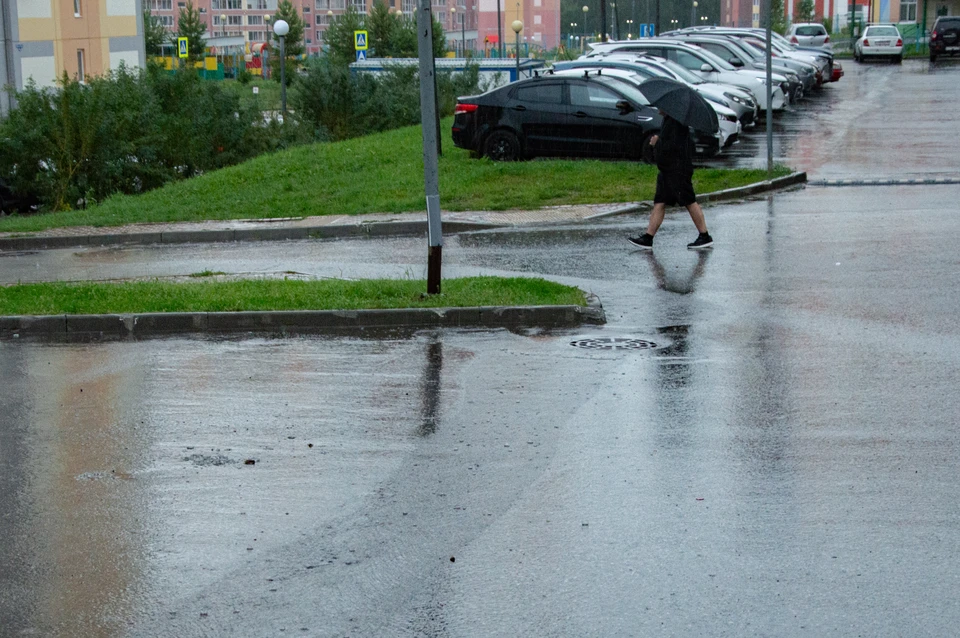 В течение недели ветер несколько раз поменяет направление. Фото: Марина Лукина