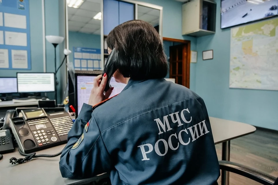 Сообщение о пожаре на улице Панфилова в МЧС поступило в 2 часа ночи