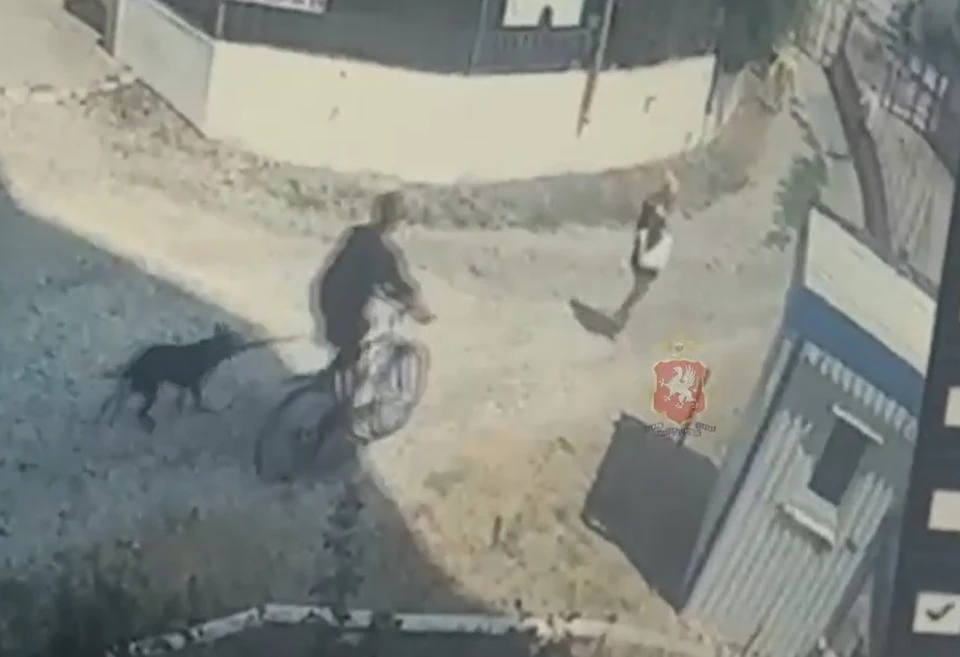 Скриншот из видео УМВД России по г. Севастополя
