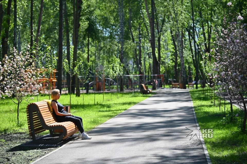 В ближайшие дни потеплеет до +25 градусов