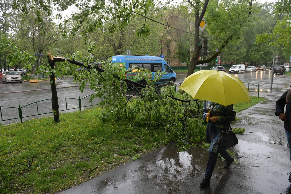 При грозах следует быть особенно внимательными на улице