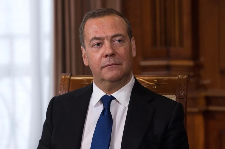 Медведев назвал руководителей Евросоюза вырожденцами и наследниками фашистов, фото: ШТУКИНА Екатерина