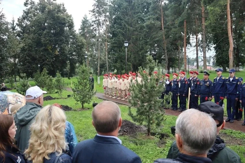 На Алее высадили 12 кедров. Фото: Влад Лебедев