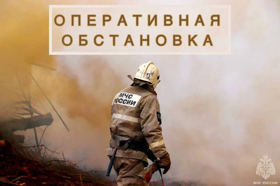 За прошлые сутки дежурные расчеты также отреагировали на одно ДТП. Фото: МЧС Тверской области.