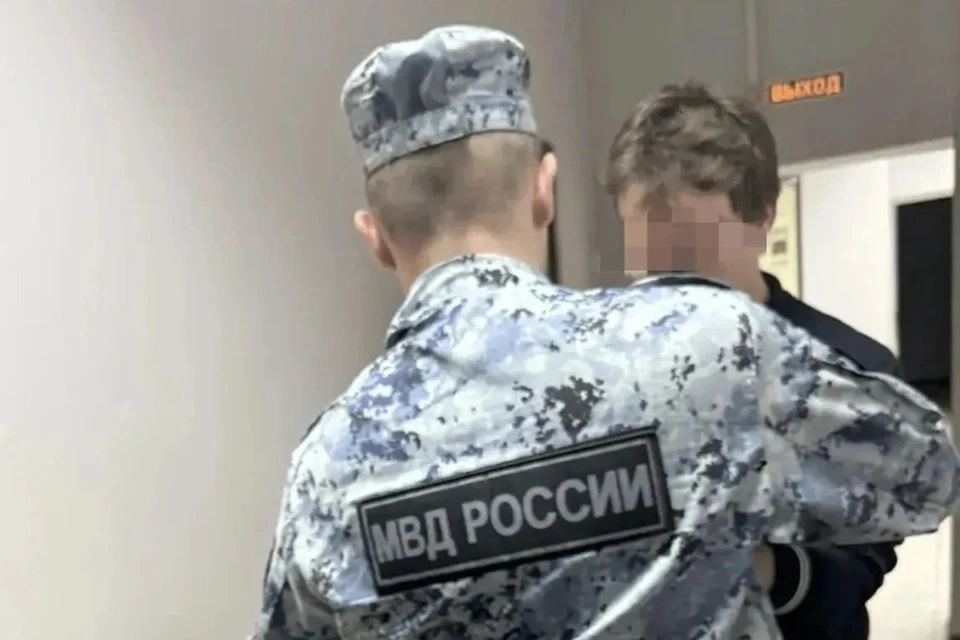 Следствие ходатайствует об аресте обвиняемого. Фото: МВД Удмуртии
