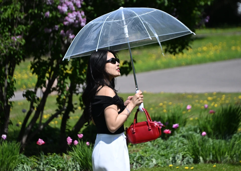 Местами могут пройти дожди