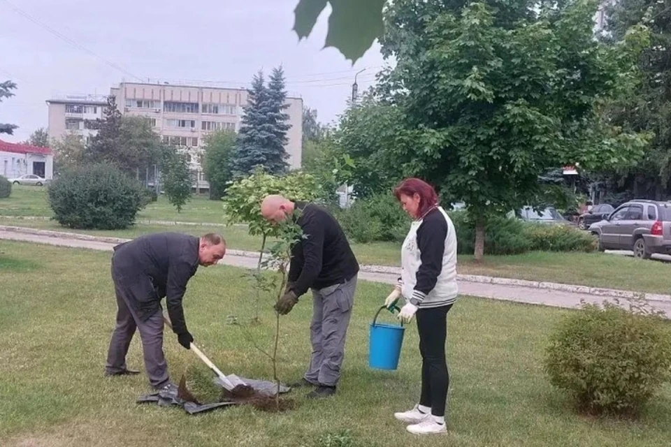 Фото: пресс-служба Брянской городской администрации.
