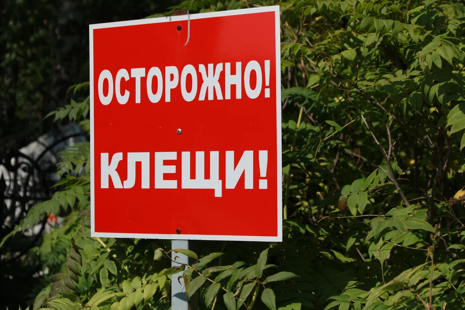 Опасность клещей сохраняется