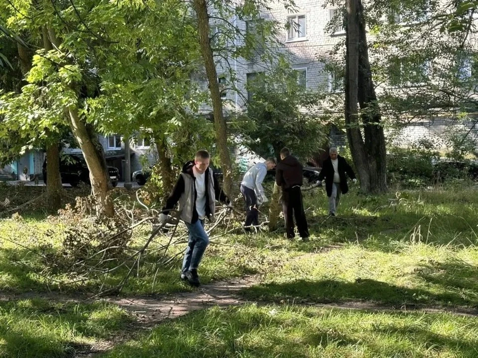 В последнем летнем субботнике приняли участие почти 3000 ульяновцев. ФОТО: администрация Ульяновска