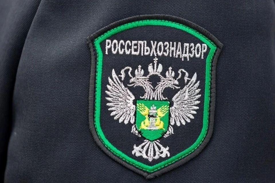 Россельхознадзор выдал предписание об очистке пахотных земель вблизи деревни Синцово от сорной растительности. Фото: Россельхознадзор Тверской области.