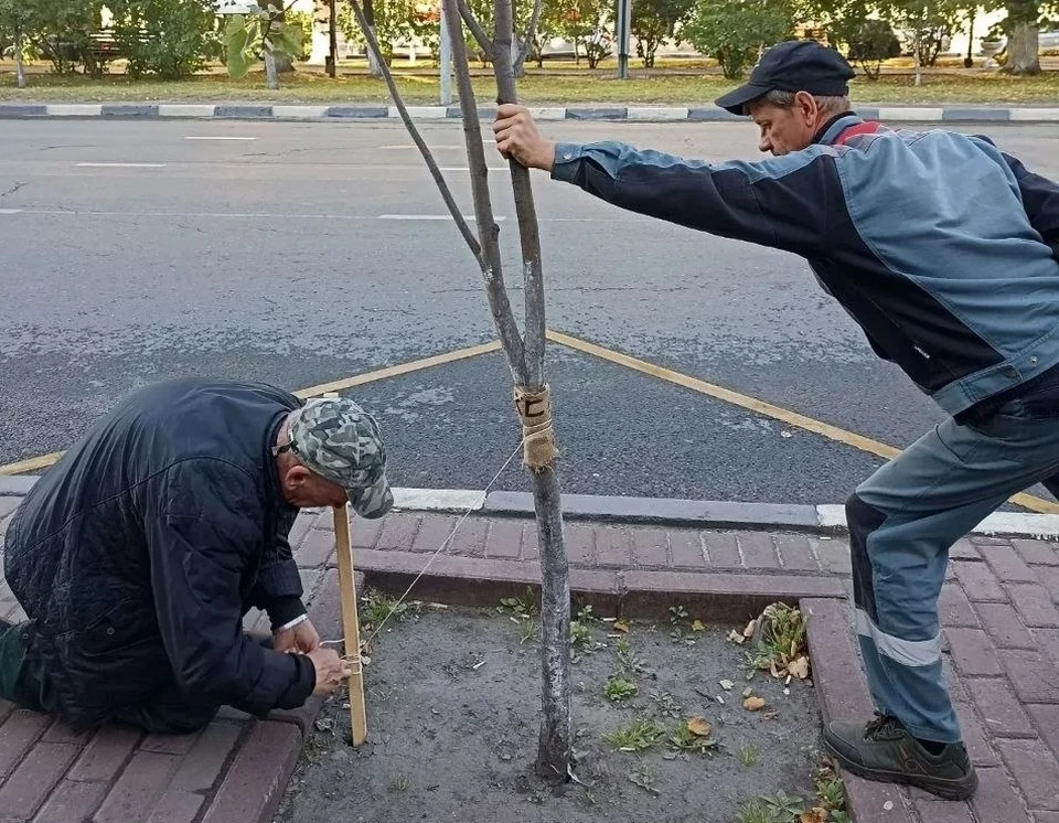 Фото: администрация Ульяновска