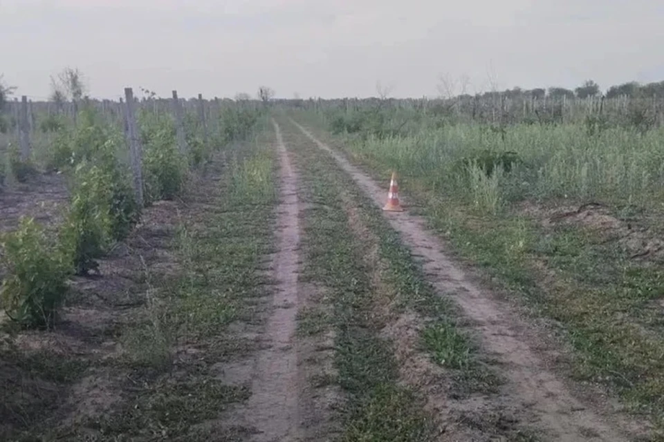 В Херсонской области сотрудники правоохранительных органов выясняют обстоятельства ДТП с участием двухколесного транспорта. Фото: ГУ МВД России по Херсонской области