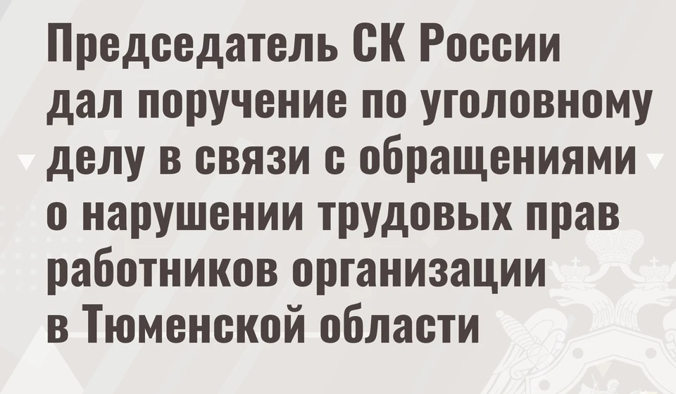 Фото: Информационный Центр СК России