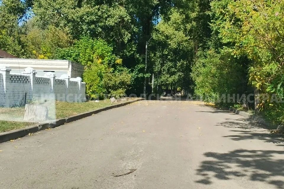 Фото: пресс-служба Брянской городской администрации.