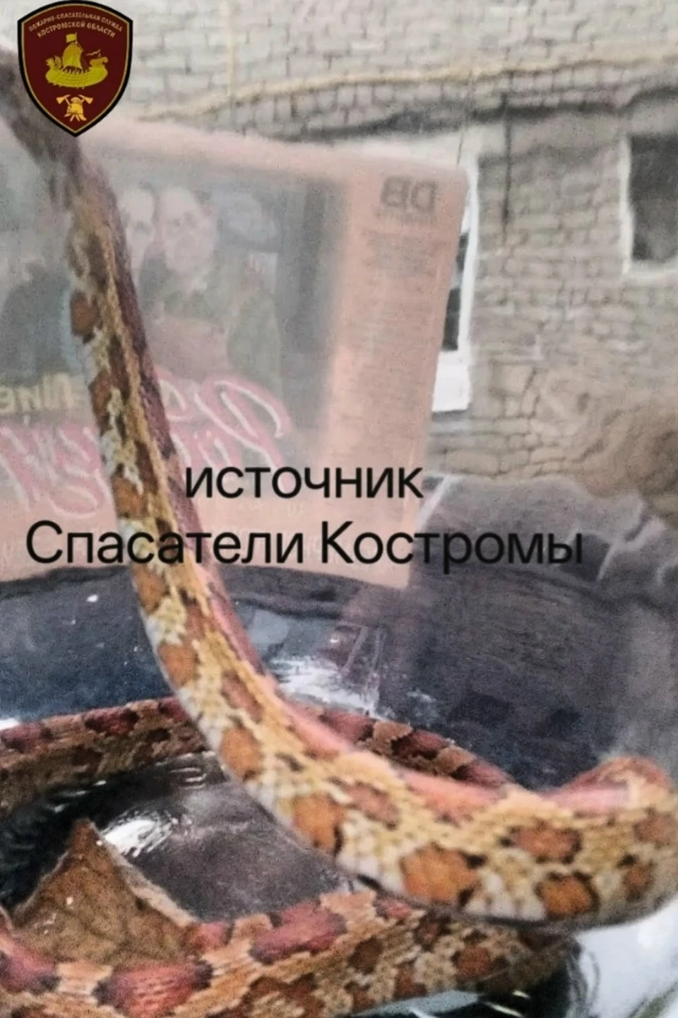 Фото: ОГБУ "ПСС"