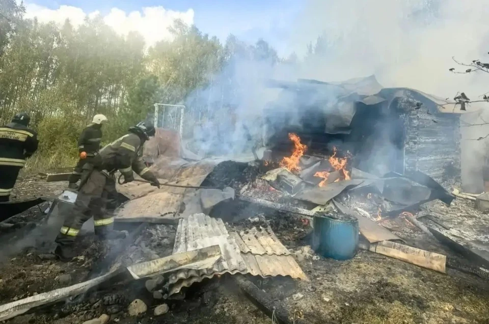 Причина пожара в дачном доме еще не установлена. Фото: ГУ МЧС России по Томской области