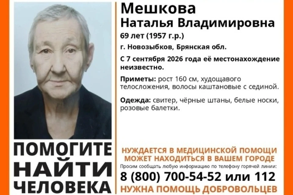 Фото: поисковый отряд "Лиза Алерт".