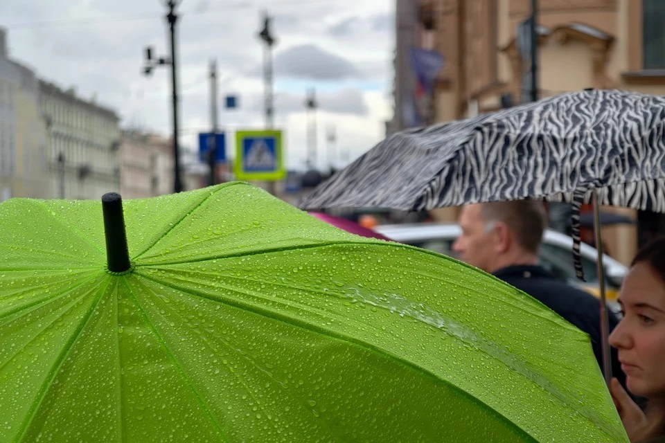 Местами по краю сохранится дождливая погода