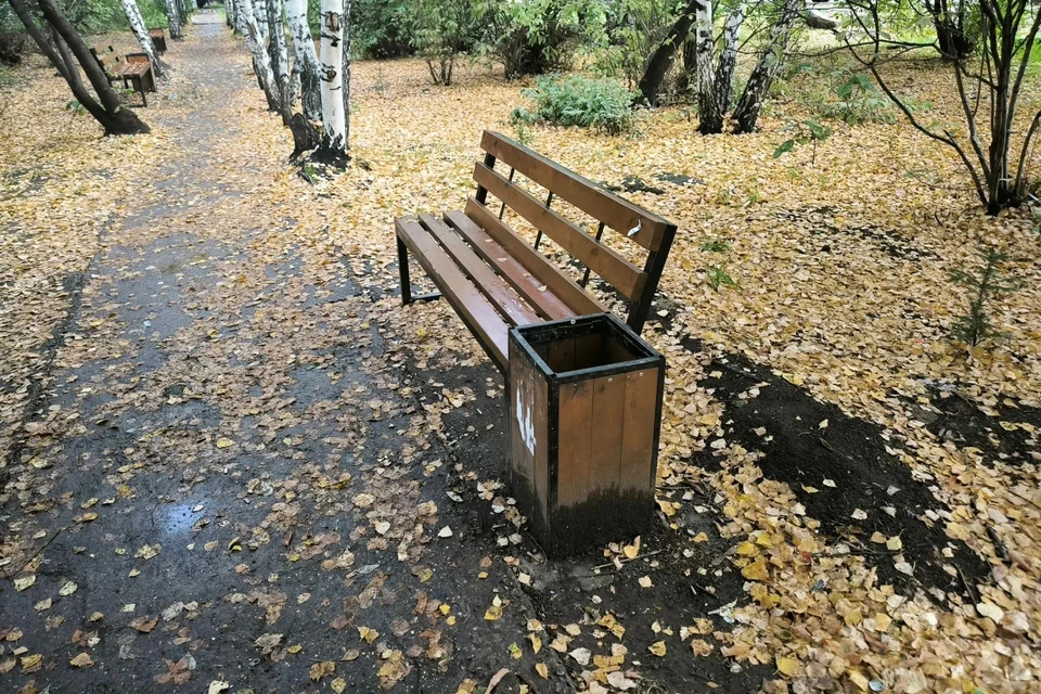 В областном центре в пятницу возможны порывы ветра и осадки