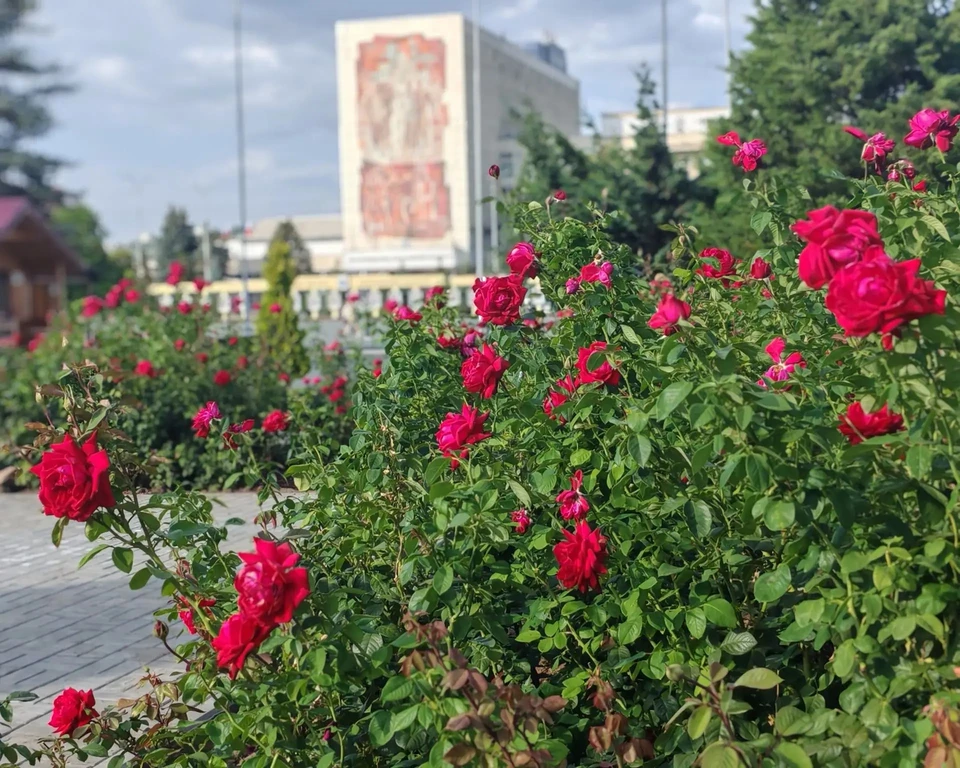 Фото: ООО "Волга-Медиа"