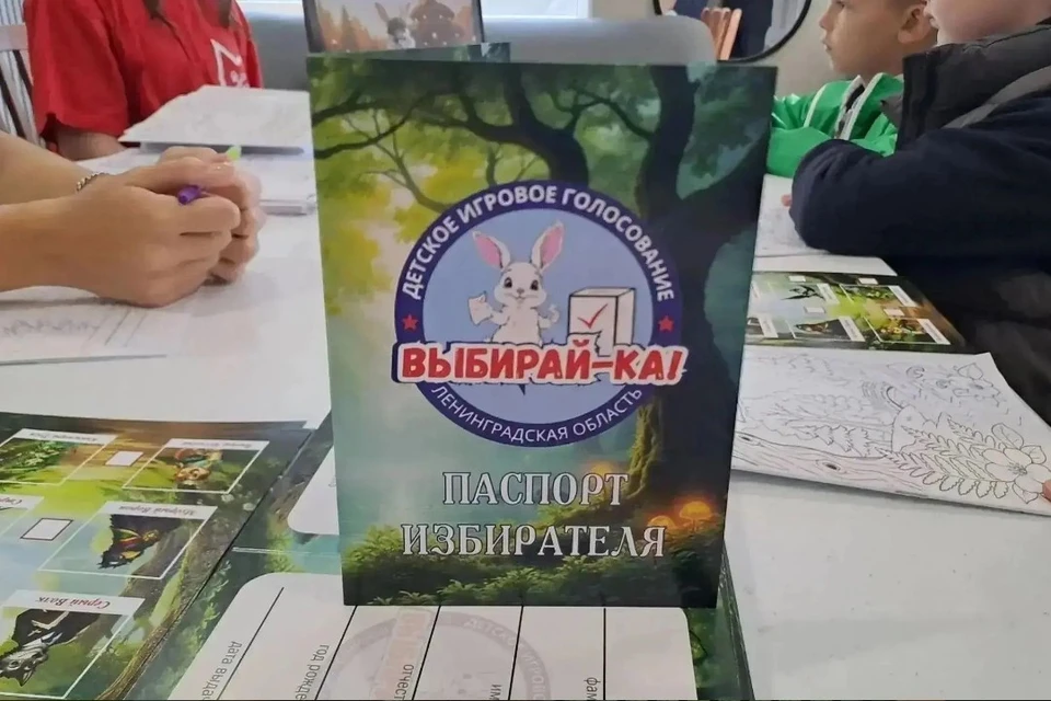Детские выборы проходят в Ленобласти. Фото: правительство ЛО.