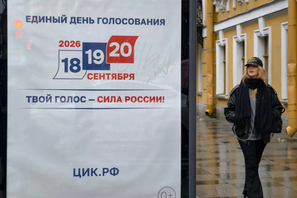 Выборы
