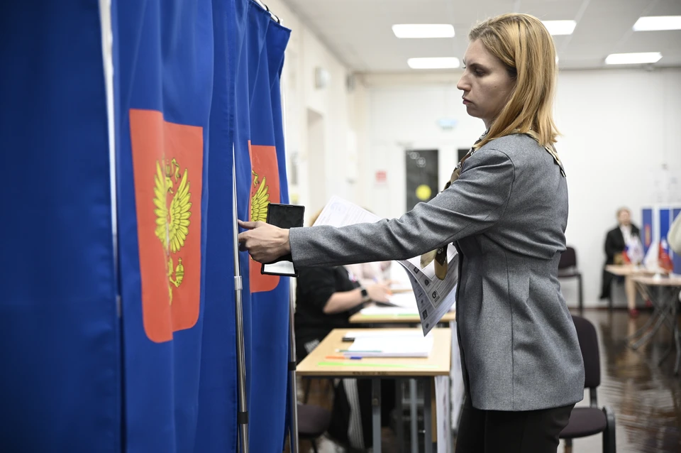 Дистанционным электронным голосованием воспользовались 87,5% подавших заявления