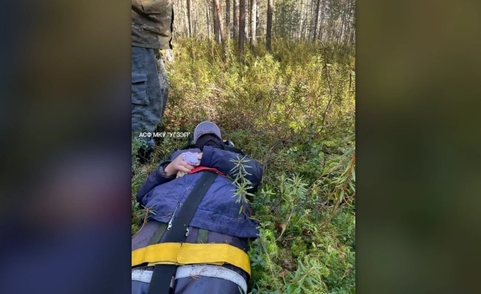 Рептилия вцепилась женщине в палец, рука стала отекать. Фото: МКУ "Управление гражданской защиты, экологии и природопользования"