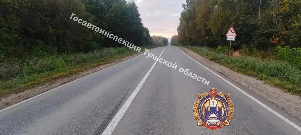 В Заокском районе водитель автомобиля Mitsubishi сбил лося.