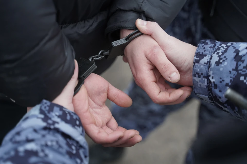 Контрабанда более 311 кг кокаина в страны Евросоюза пресечена в Подмосковье
