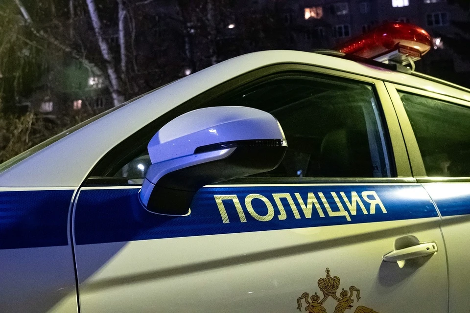 В Красноярске обезвредили агрессивного медведя, пришедшего на пасеку