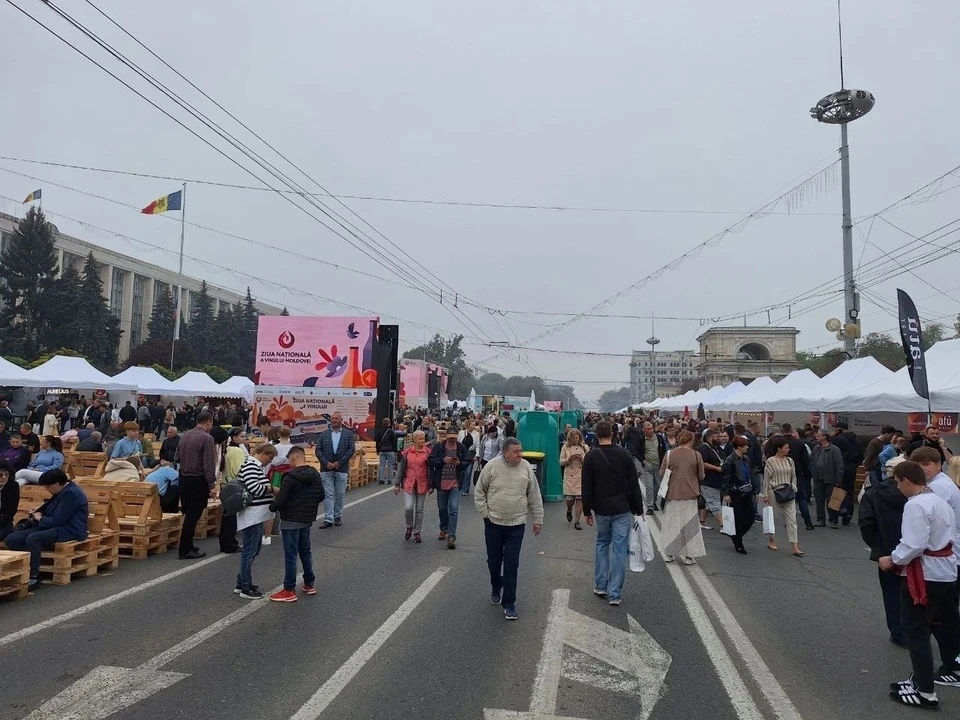 День вина - возможность заработать. Фото: соцсети