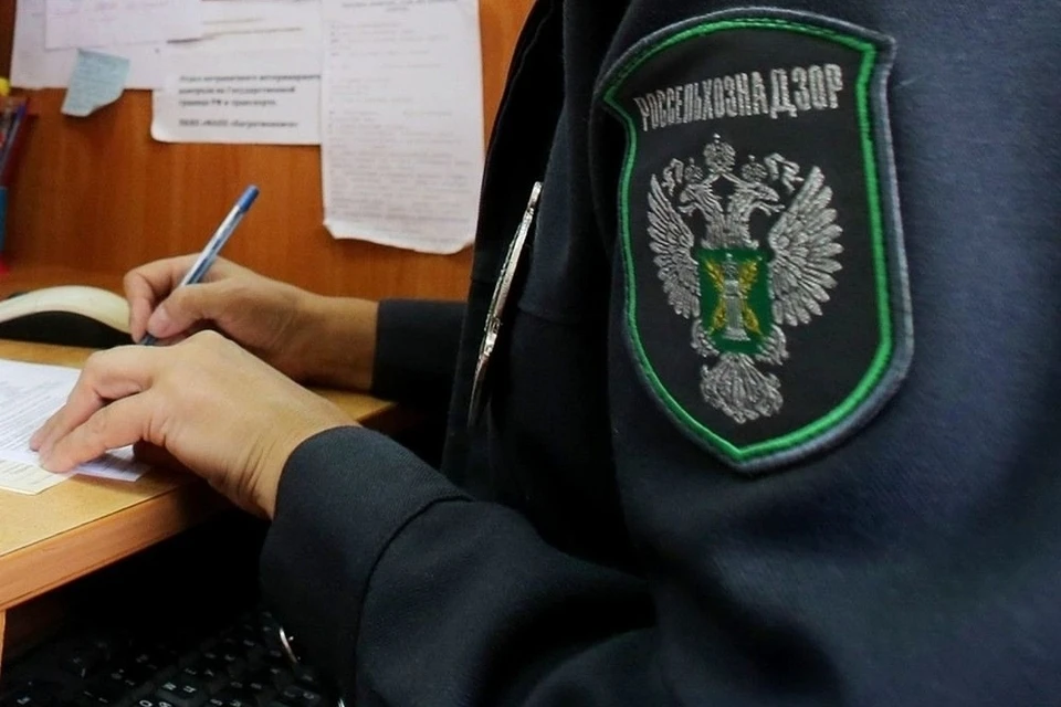 Инспекторы зафиксировали зарастание сорняками и кустарником на всех 235 проверенных участках площадью свыше 3352 гектаров. Фото: Россельхознадзор по Тверской и Ярославской областям.