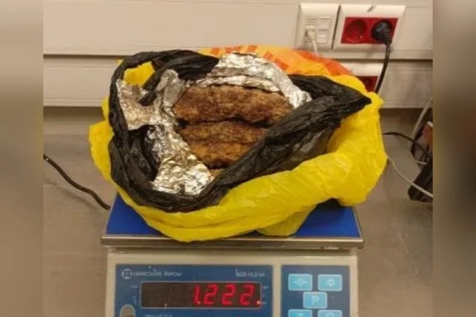 В ручной клади из Узбекистана нашли шашлык из баранины без упаковки и маркировки. Фото: пресс-служба Управления Россельхознадзора по Кировской области, Удмуртской Республике и Пермскому краю.